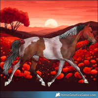 Horse Color:Bay Tobiano Varnish