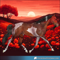 Horse Color:Bay Tobiano Varnish
