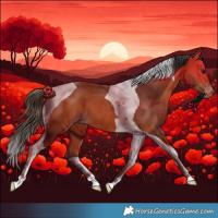 Horse Color:Bay Tobiano Varnish 