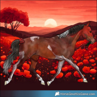 Horse Color:Bay Tobiano Varnish