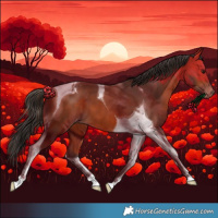 Horse Color:Bay Tobiano Varnish 