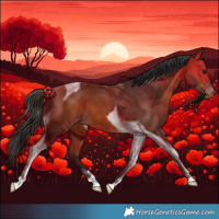 Horse Color:Bay Tobiano Varnish 