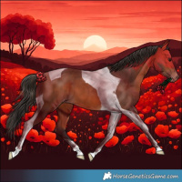 Horse Color:Bay Tobiano Varnish 