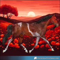 Horse Color:Bay Tobiano Varnish 
