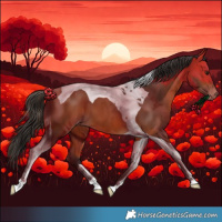 Horse Color:Bay Tobiano Varnish