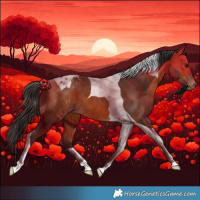 Horse Color:Bay Tobiano Varnish 
