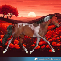 Horse Color:Bay Tobiano Varnish 