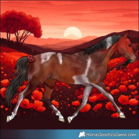 Horse Color:Bay Tobiano Varnish 