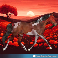 Horse Color:Bay Tobiano Varnish