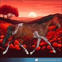 Horse Color:Bay Tobiano Varnish