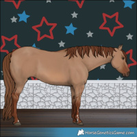 Horse Color:Red Dun 