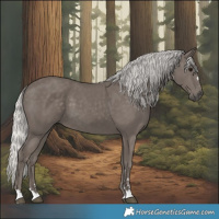 Horse Color:Silver Smoky Black