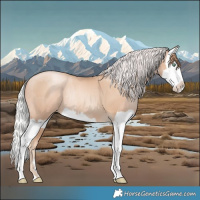 Horse Color:Gold Champagne Pearl Rabicano  and Silver Sable Champagne Pearl Splash Rabicano 