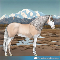 Horse Color:Gold Champagne Pearl Rabicano  and Silver Sable Champagne Pearl Splash Rabicano 