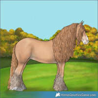 Horse Color:Gold Champagne Splash 