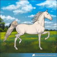 Horse Color:Perlino 