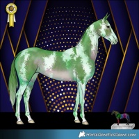 Horse Color:Watercolor Brown Sabino 