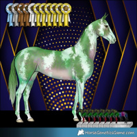 Horse Color:Watercolor Brown Sabino 