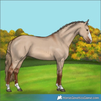 Horse Color:Red Dun 