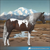 Horse Color:Silver Brown Tobiano 
