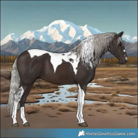 Horse Color:Silver Brown Tobiano