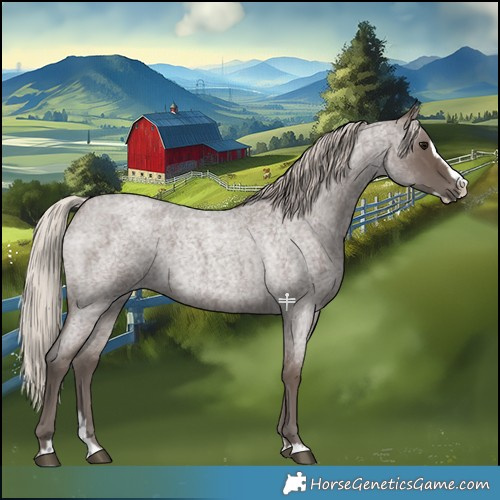 Horse Color:Silver Blue Roan Splash 