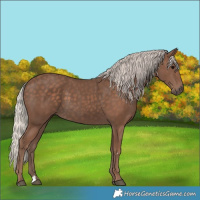 Horse Color:Silver Black 