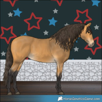 Horse Color:Buckskin 