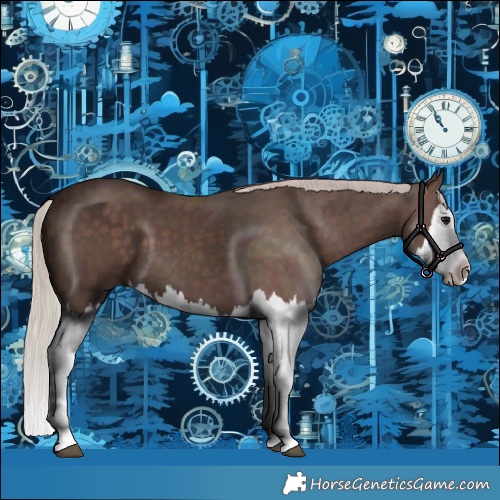 Horse Color:Silver Black Splash