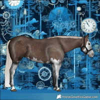 Horse Color:Silver Black Splash