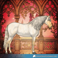Horse Color:Palomino Roan Dun 