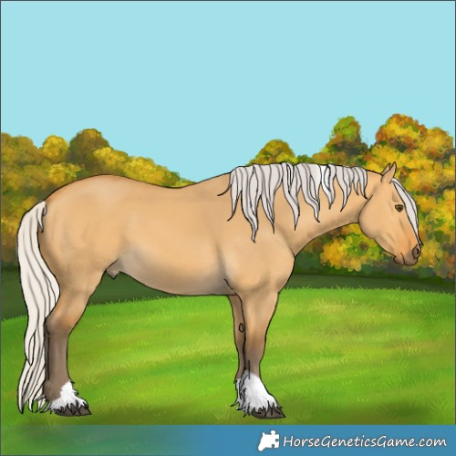 Horse Color:Silver Buckskin Dun Tobiano