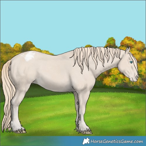 Horse Color:Smoky Creme Varnish 