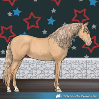 Horse Color:Gold Champagne