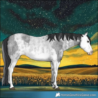 Horse Color:Blue Roan Sabino Splash  and Blue Roan Sabino Splash 