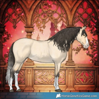 Horse Color:Buckskin Roan Dun Splash 