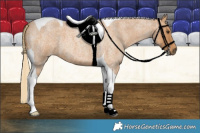 Horse Color:Red Roan Tobiano 