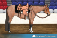 Horse Color:Bay Roan Tobiano