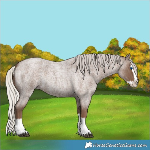 Horse Color:Silver Blue Roan Splash
