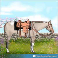 Horse Color:Bay Dun Tobiano Varnish 