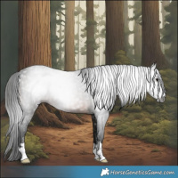 Horse Color:Gray Brown