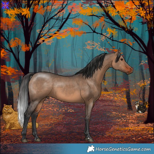 Horse Color:Brown Dun 