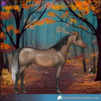 Horse Color:Brown Dun 