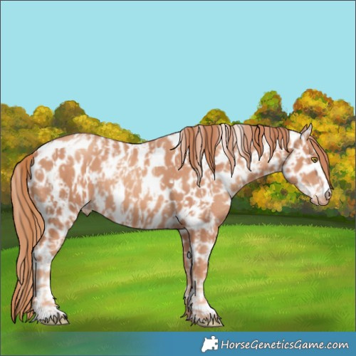Horse Color:Gold Champagne Leopard  and Gold Champagne Leopard 