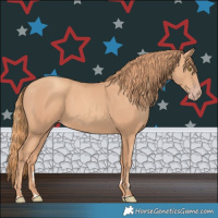 Horse Color:Gold Champagne 