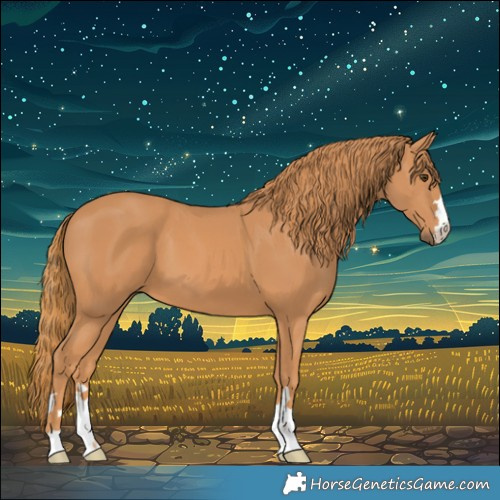 Horse Color:Chestnut 