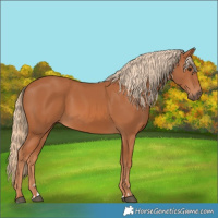 Horse Color:Chestnut 