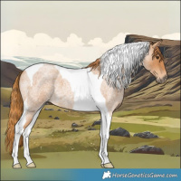 Horse Color:Red Roan Tobiano 