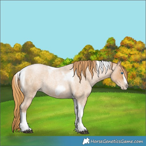 Horse Color:Red Roan Pearl Tobiano Frame 