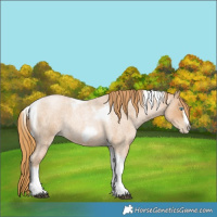 Horse Color:Red Roan Pearl Tobiano Frame